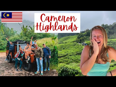 Cameron Highlands egynapos túra