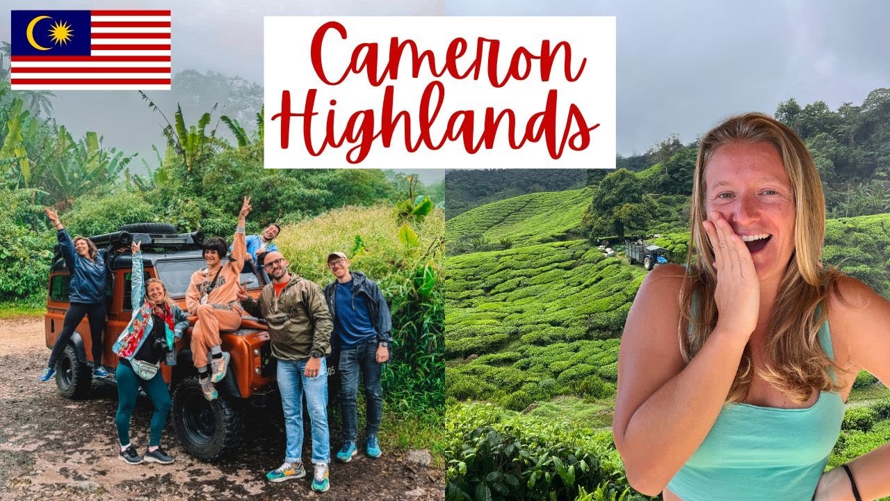 Ultimate CAMERON HIGHLANDS Day Tour Experience: Not Just Tea Plantations!