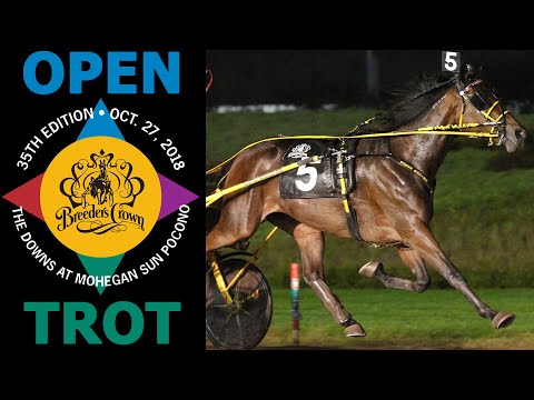 2018 Breeders Crown - Homicide Hunter - Open Trot
