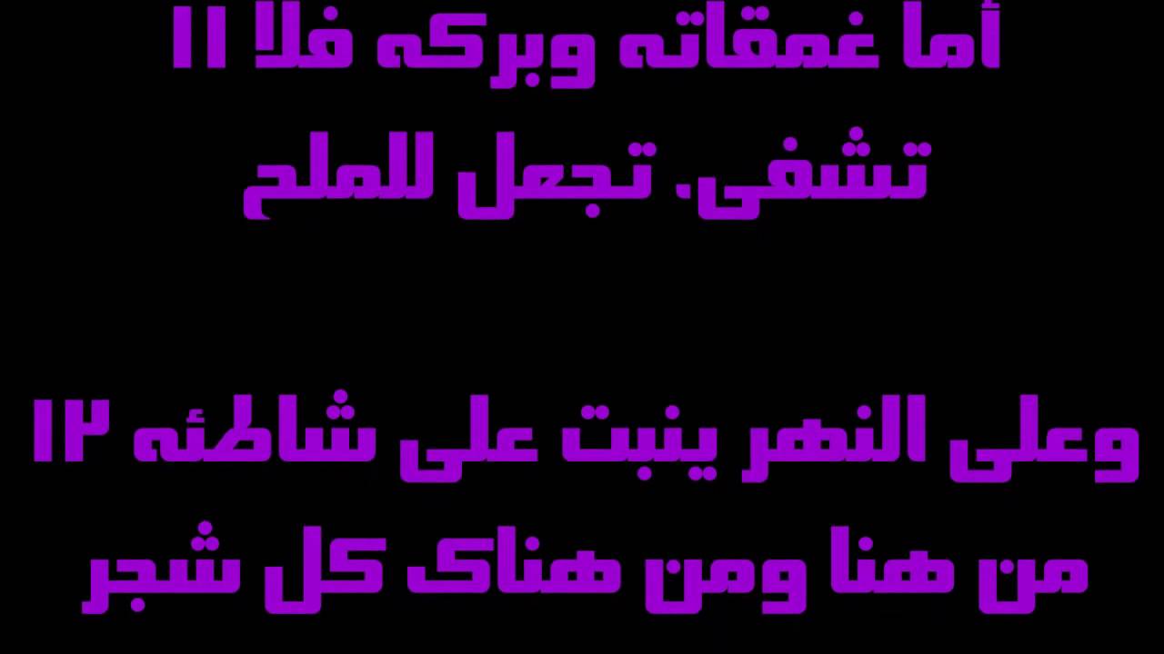 فيديو تفسير الكتاب المقدس | الكتاب المقدس رفيقي