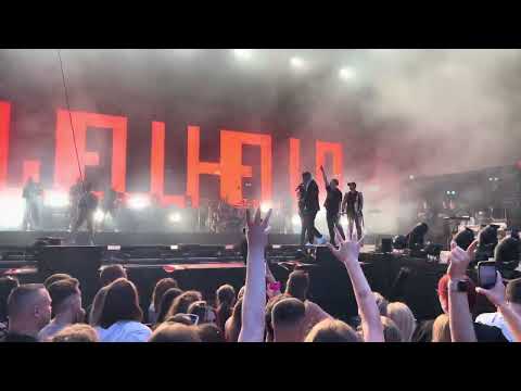 Wellhello x AKC - Ragadozó 2023.06.16. Budapest Park