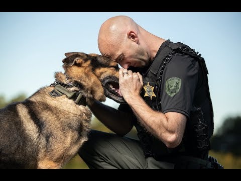 K-9 Kimbo's Last Sign Off