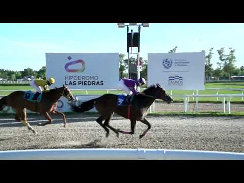 220129 c08 - POSEIDON INC - HIPODROMO LAS PIEDRAS - PREFERENCIAL "MAKE MONEY"