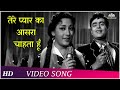 Tere Pyar Ka Aasra Chahta Hoon Dhool Ka Phool 1959 Rajendra Kumar Mala Sinha Hindi Songs