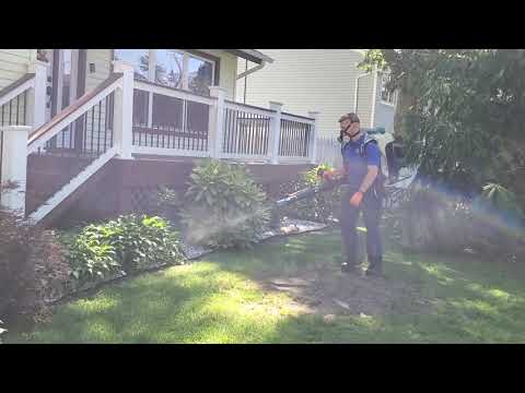 A Thorough Mosquito & Tick Treatment in Toms River, NJ