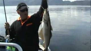 preview picture of video 'hitra zeevissen noorwegen hemnskjel deel 2_4.mpeg ( High Quality )'
