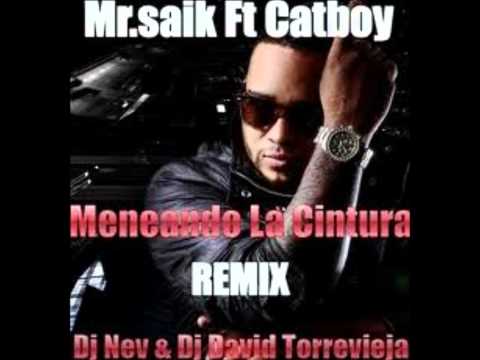 Mr Saik ft. Catboy - Meneando la cintura(Dj Nev & David Torrevieja Remix).wmv
