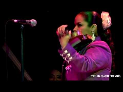 LA REINA ES EL REY | MARIACHI REYNA de LOS ANGELES | MARIACHI CHANNEL LIVE