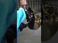 Melting Gold Skull #Shorts