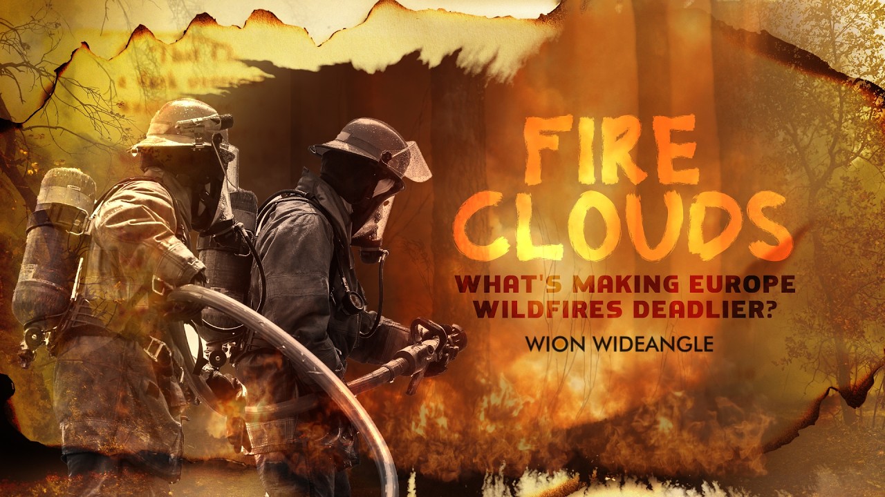 Fire Clouds: Europe Wildfires Become Deadlier | WION Wideangle