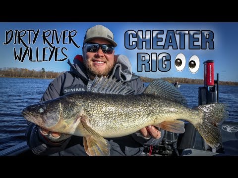 "Cheater rig" for dirty river walleyes