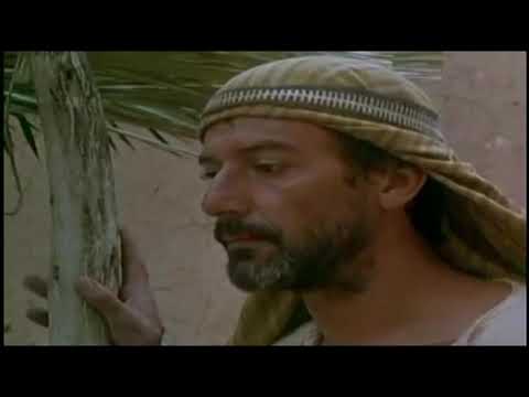 Mateo 17, 14-20 Evangelio Agosto 12 2017