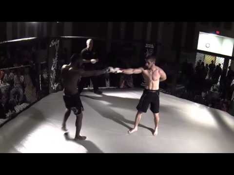 Primus III Highlights