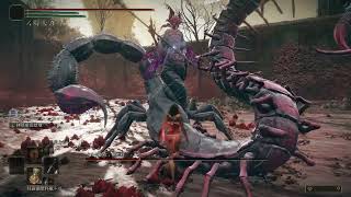 [攻略] 艾爾登DLC 花蕾聖女 無傷 無骨灰 無戰技