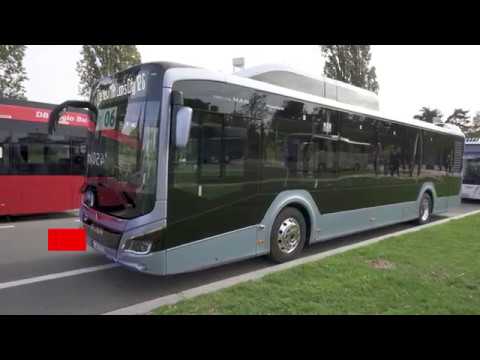 Winner Busworld Awards 2019 - SAFETY LABEL BUS - MAN Lion's City 12G