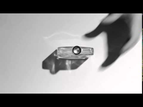 Fleshback | Cosmotheca