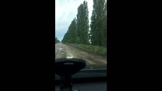 Дорога Кривой Рог - Николаев. Трасса Н-11.