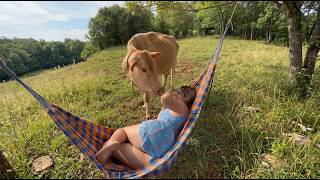 It really looks comfortable for sleeping