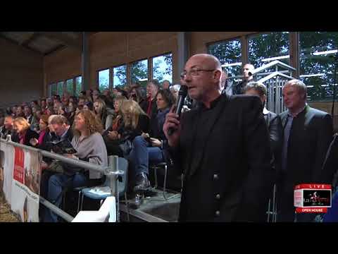 La Movida Arabians - Open House 2014