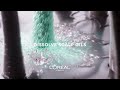 L OREAL PARIS ELVIVE HYALURON PURE