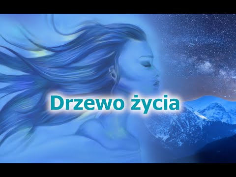 [VioliNowyDom] #3 Przekazy: Drzewo życia