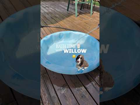 Featured YouTube Video 1