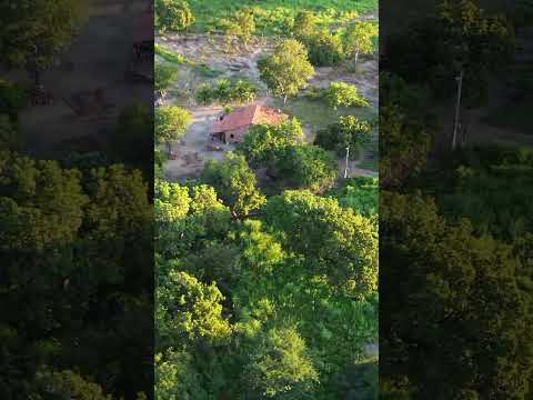 reformadora de Angical cupim Bahia a maior reforma da América Latina