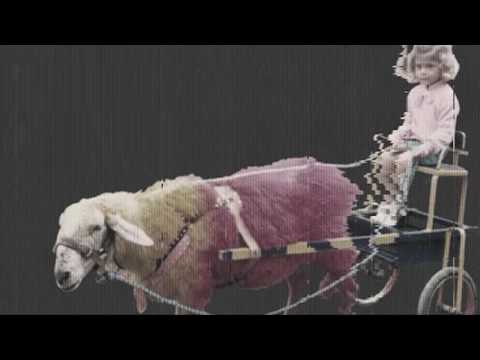 Mosaico Adulto - Ep Novos Planos  completo