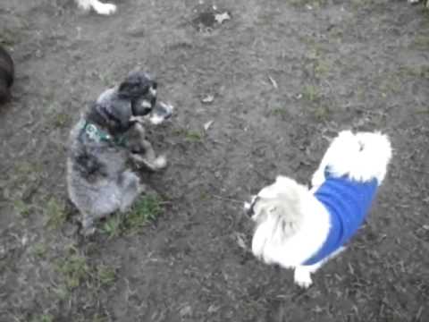 Pepe & Melva Juguando!