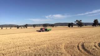 preview picture of video 'Crop Harvest - Case IH Header - Country Kids Collection Kids Hi Vis - Central West NSW'