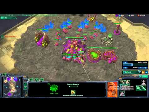 SC2:  Thats how you micro zerg 1v2 !!