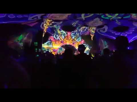 Earthdance CPT 2018 Nighttime