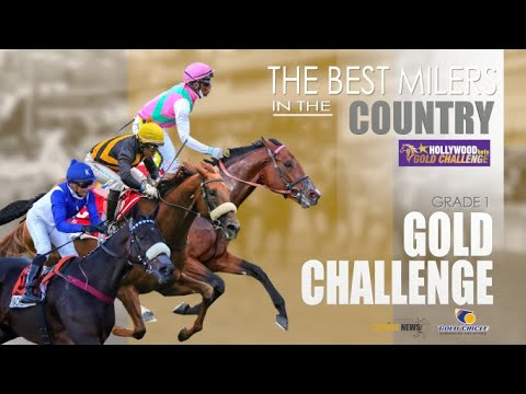 PREVIEW: HOLLYWOODbets GOLD CHALLENGE