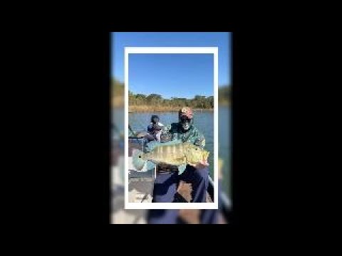 PESCARIA DE TUCUNARÉ NO ALAGADO DO RIO VERDINHO EM ITARUMÃ - GOIÁS / EQUIPE WAY FISHING EM AÇÃO !!!