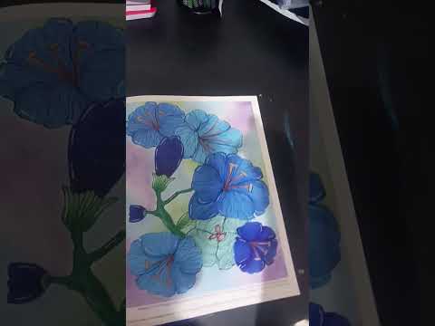 colour of the flower