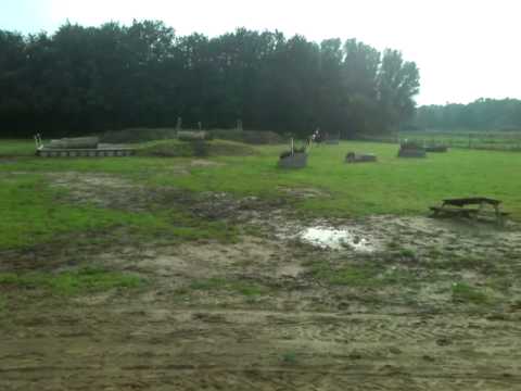 Flint (Belissimo M x Michelangelo x Sovereign Bill xx)