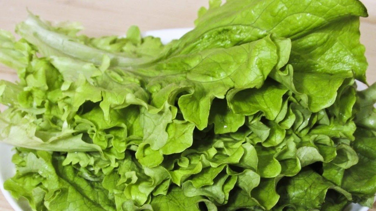 Заморозка салатных листьев на зиму. Заморозка салатных листьев на зиму. Щавель на зиму заморозка в пакете. Щавель замороженный. Лист салата можно замораживать.