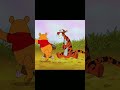 Winnie Pooh Shorts