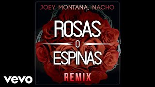 Joey Montana, Nacho - Rosas O Espinas (Audio / Remix)