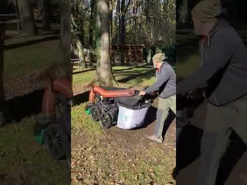 Billy Goat MV601SPDSEU Vacuum - Image 2
