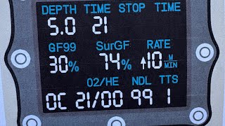 Video 8 - The Relationship Between GF99 and SurGF (Based Off Andy Davis’s Article)