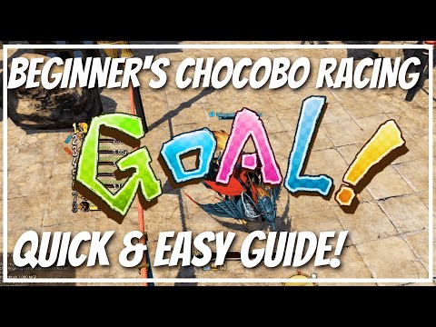 BEGINNER'S guide to CHOCOBO RACING: quick & easy tips for MORE WINS!