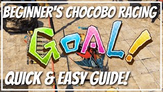 BEGINNER'S guide to CHOCOBO RACING: quick & easy tips for MORE WINS!