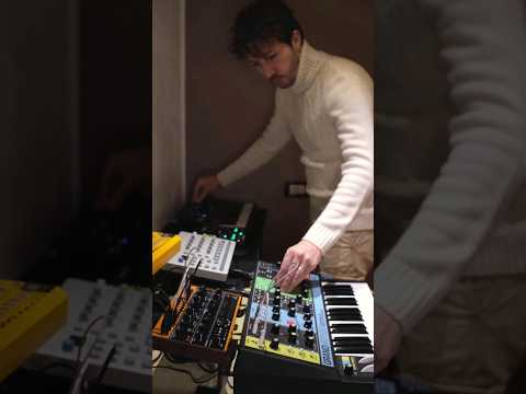 The Moog Grandmother is a beast!