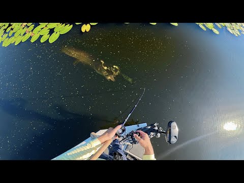 Fall Fishing for Monster Pike!