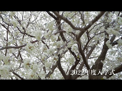 2022年4月 江戸川大学 入学式