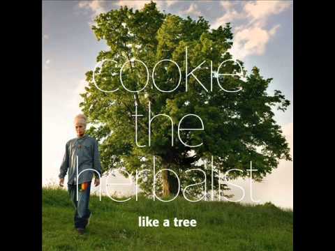 Cookie The Herbalist - Hold On (feat Andrew Robinson)