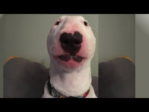 man i felt soulless today. soulless 3 that is.