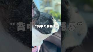 背中で物語るフレブル