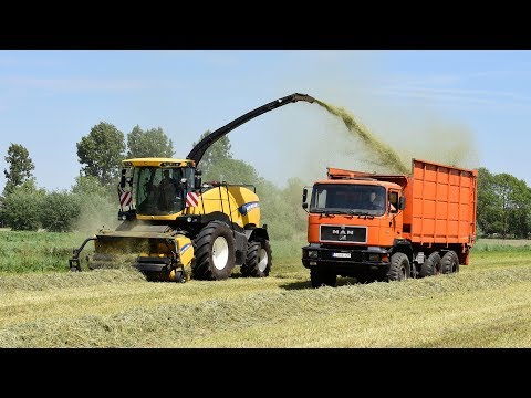 New Holland FR600 - Loonw.  Neyt-Van Laere - gras hakselen